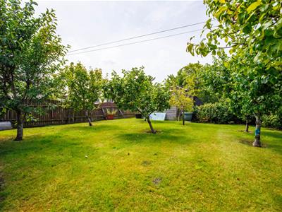 Picture 32